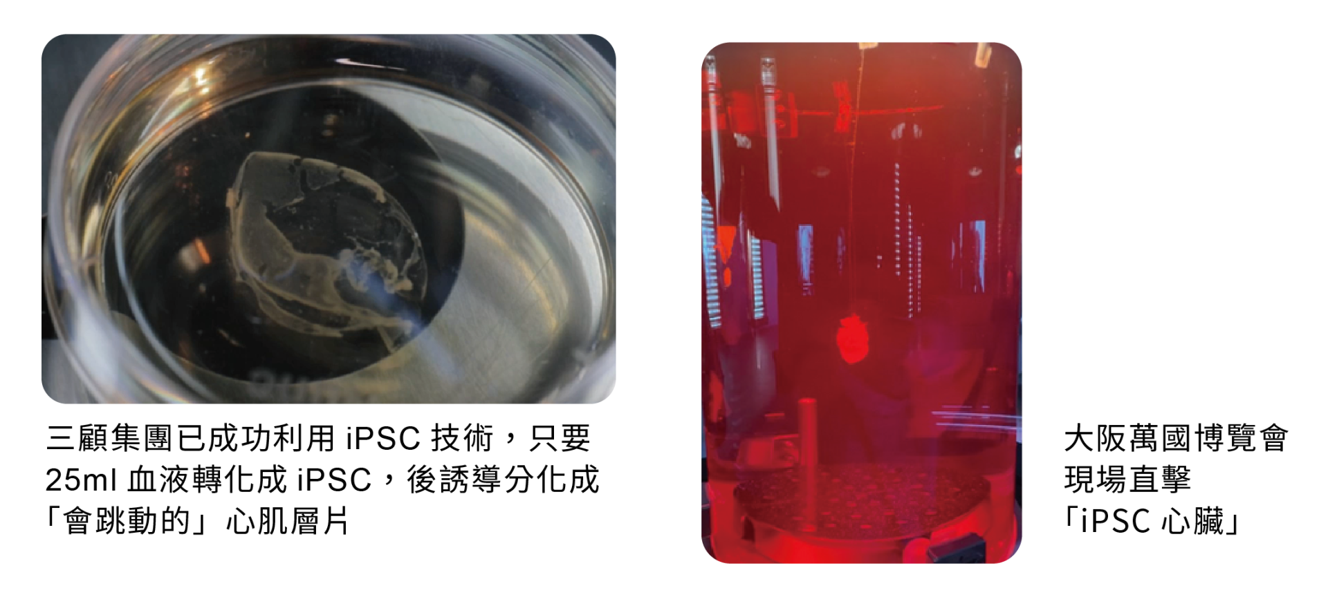 ALL_catalog_25J03_SPYEiAHtoZ