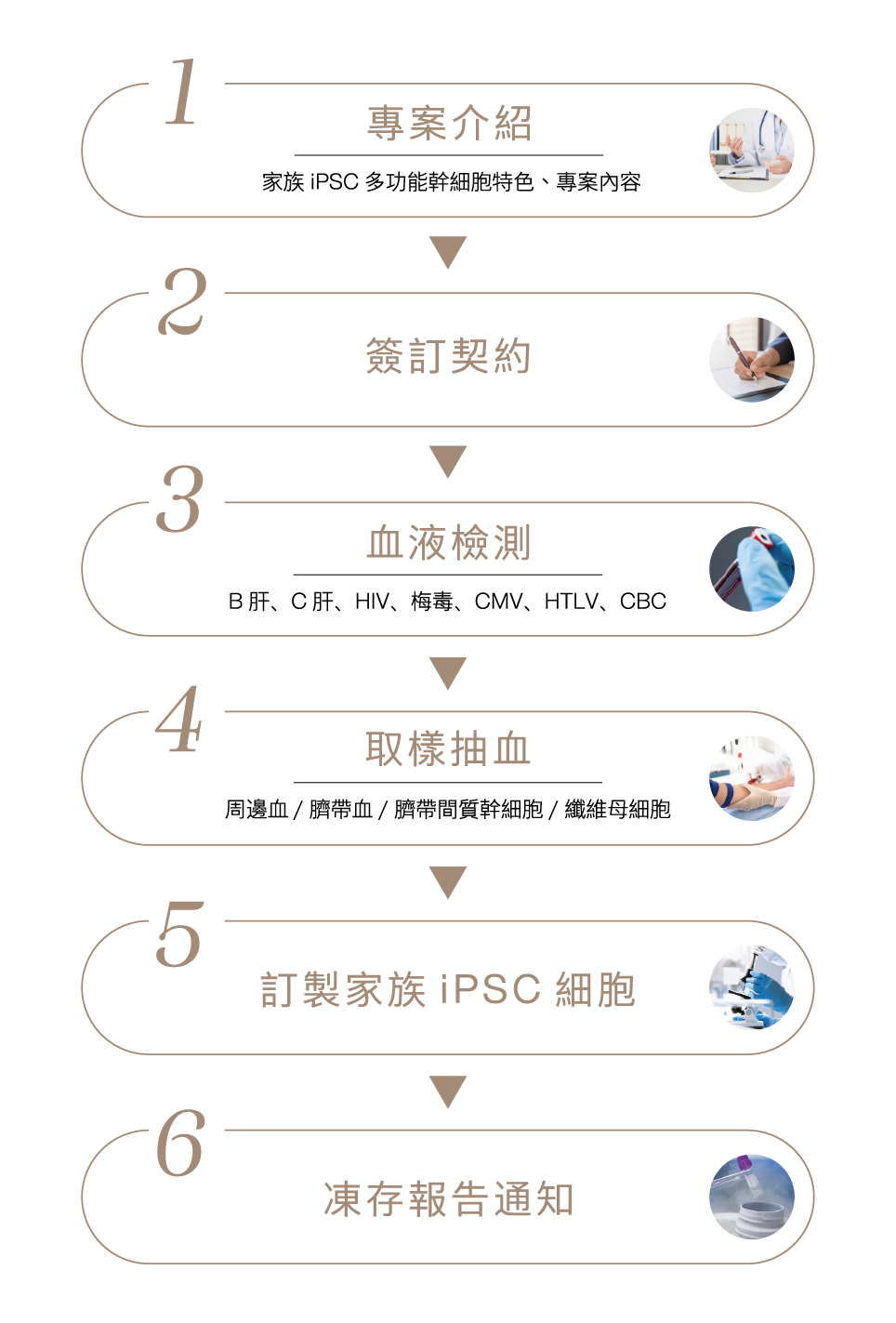 ALL_catalog_25J03_UIfa1CPAgM