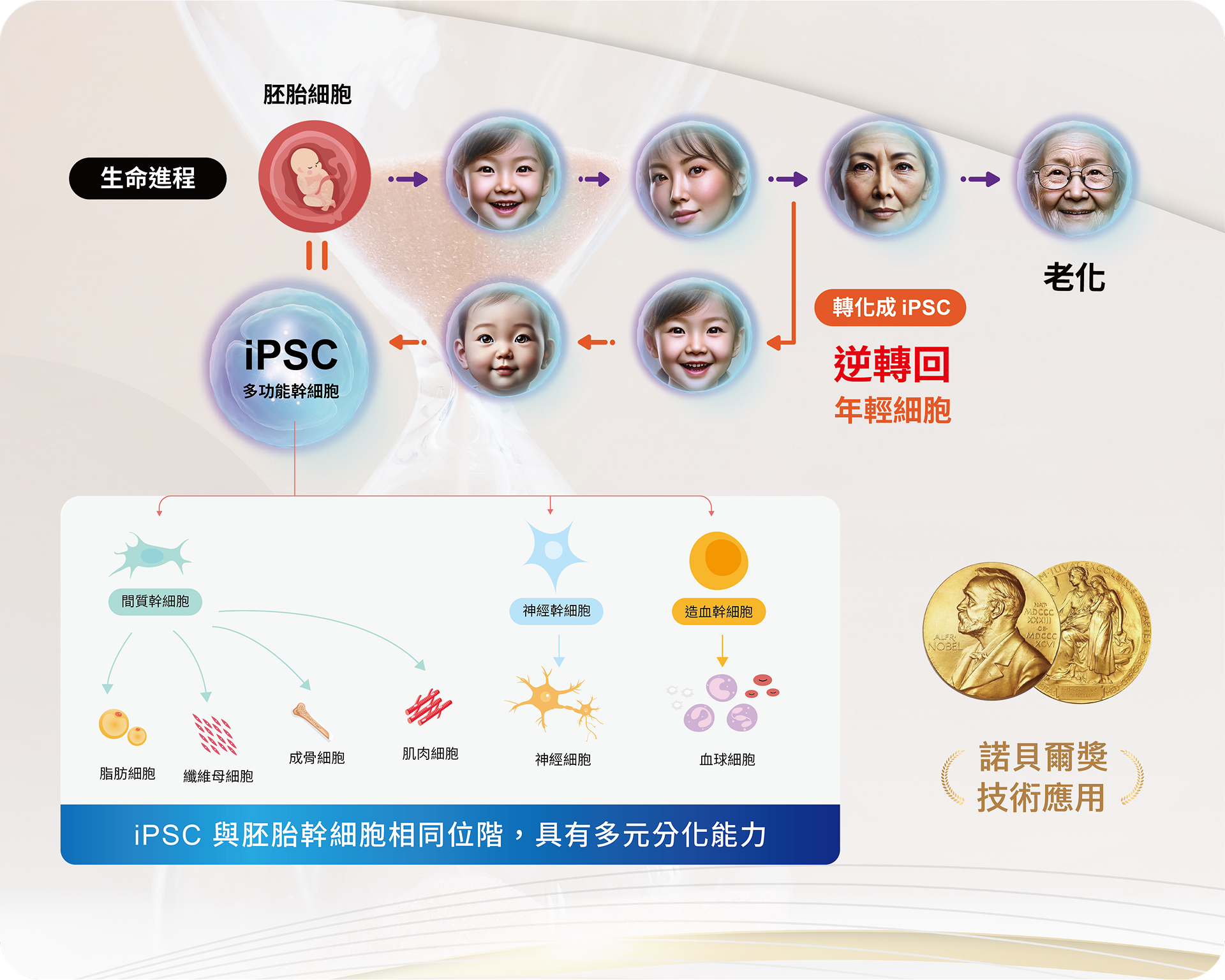 ALL_catalog_25J07_LSbm5nTT7E