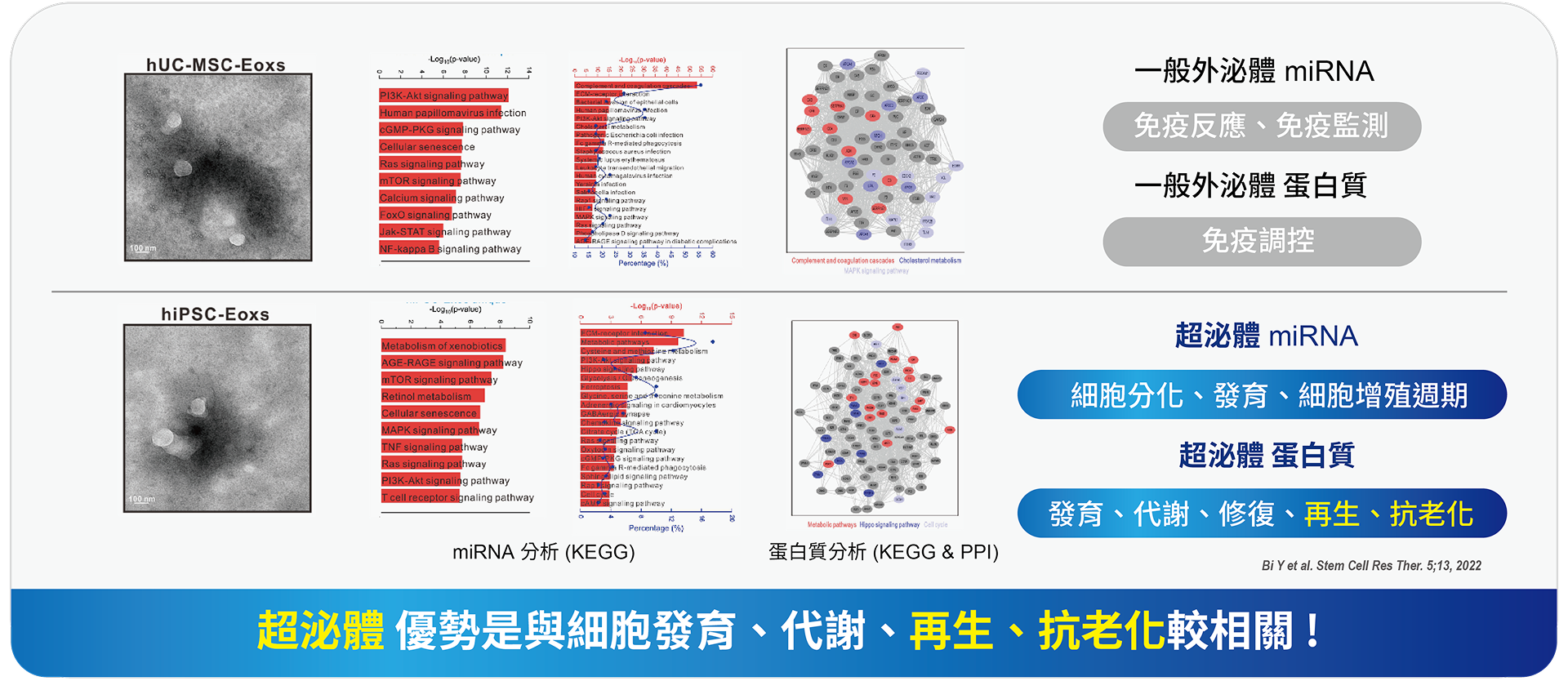 ALL_catalog_25J07_OViDXWa1wx