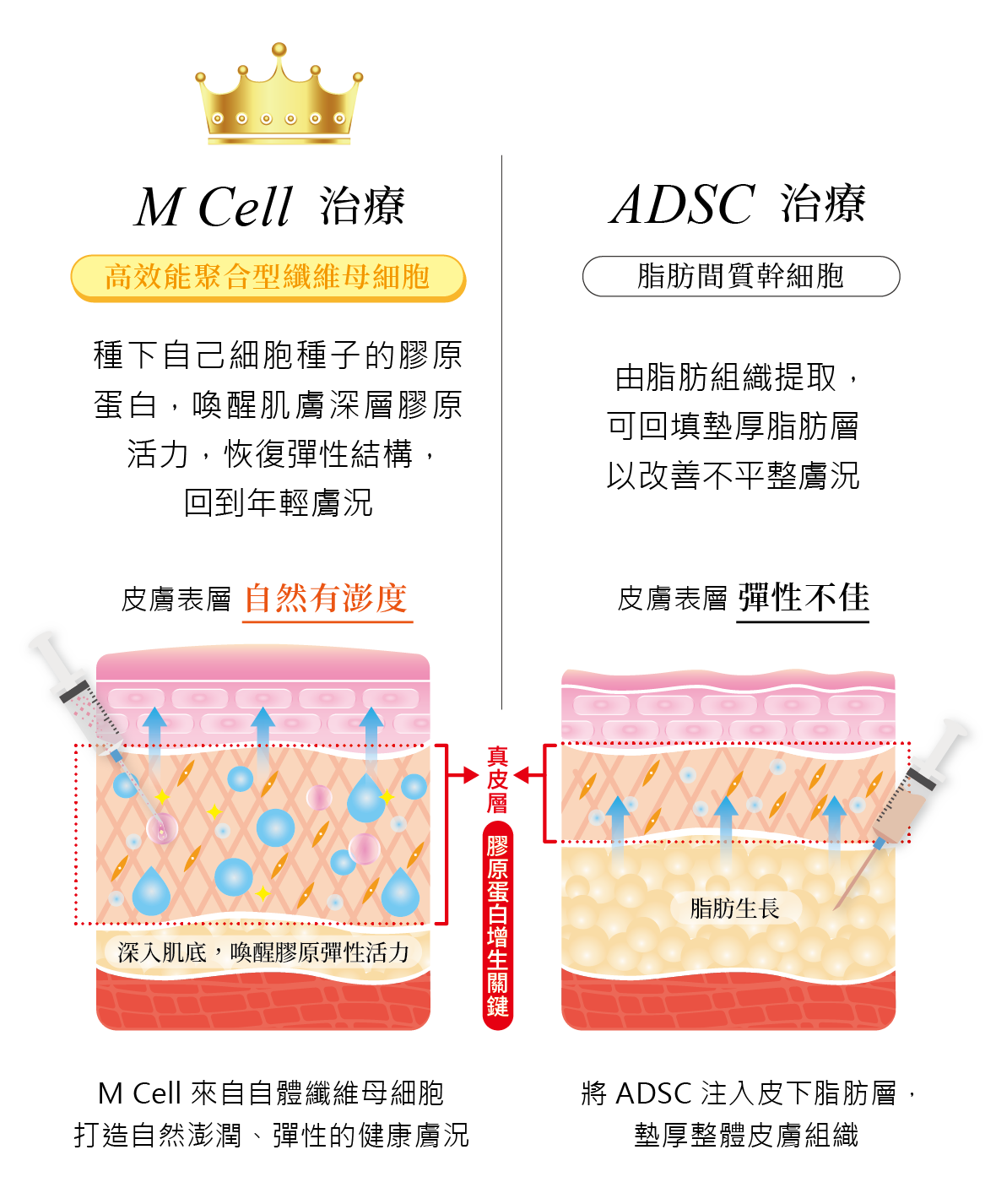 ALL_technology_25K05_gewxEuLSHd