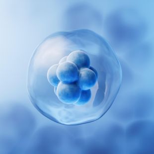 Intelligent regenerative medicine production model