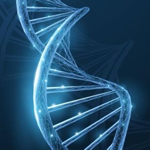 Intelligent regenerative medicine production model